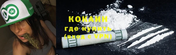 спайс Вяземский