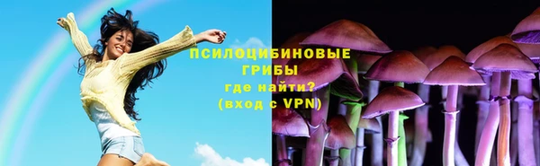 спайс Вяземский