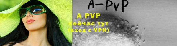 спайс Вяземский