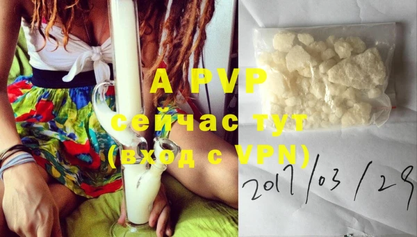 спиды Вязьма