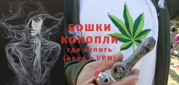 спайс Вяземский