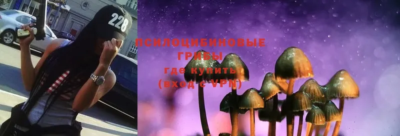 Галлюциногенные грибы Magic Shrooms  Добрянка 