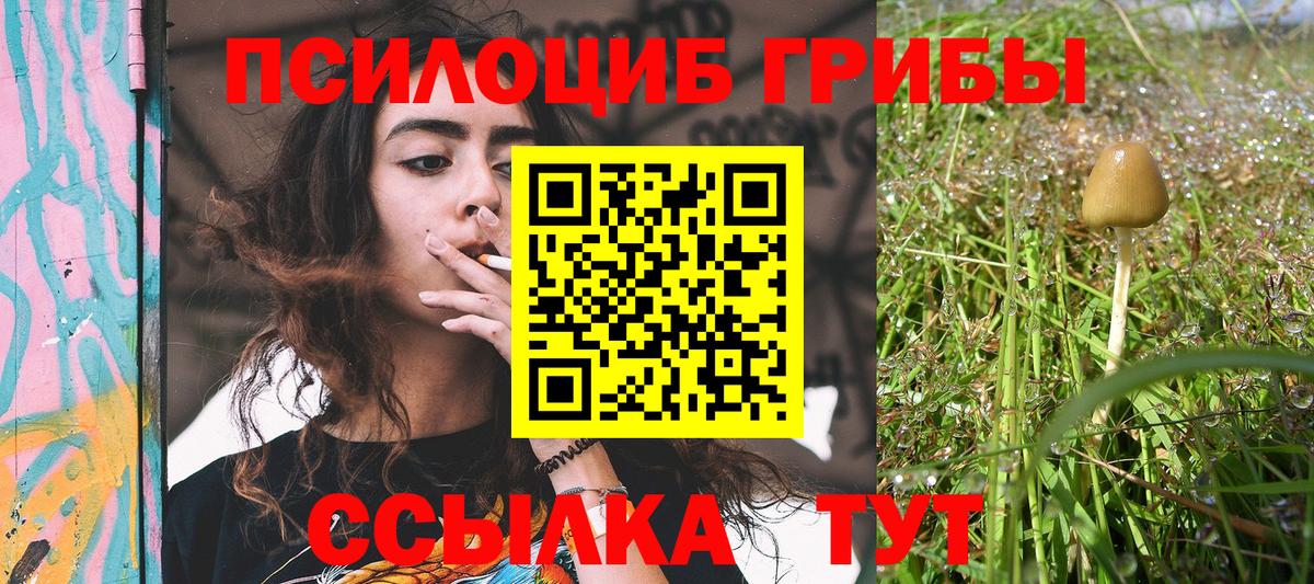 Псилоцибиновые грибы Magic Shrooms  Вход с VPN  Галлюциногенные грибы MAGIC MUSHROOMS  Добрянка 