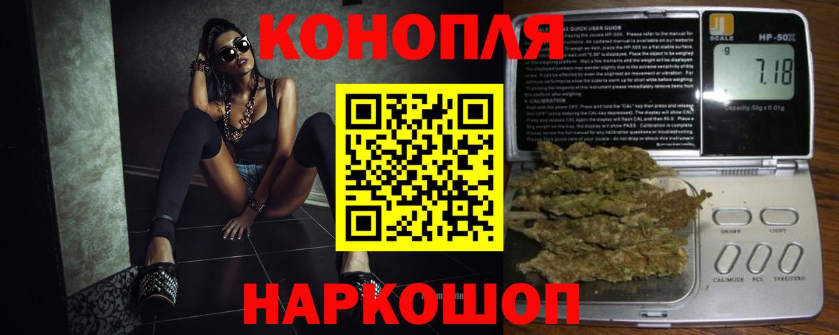 Марихуана Bruce Banner  Марихуана план  Марихуана конопля  Добрянка  Канабис индика 